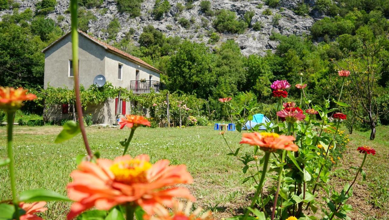 Camp Podkraj Hotel Virpazar Bagian luar foto